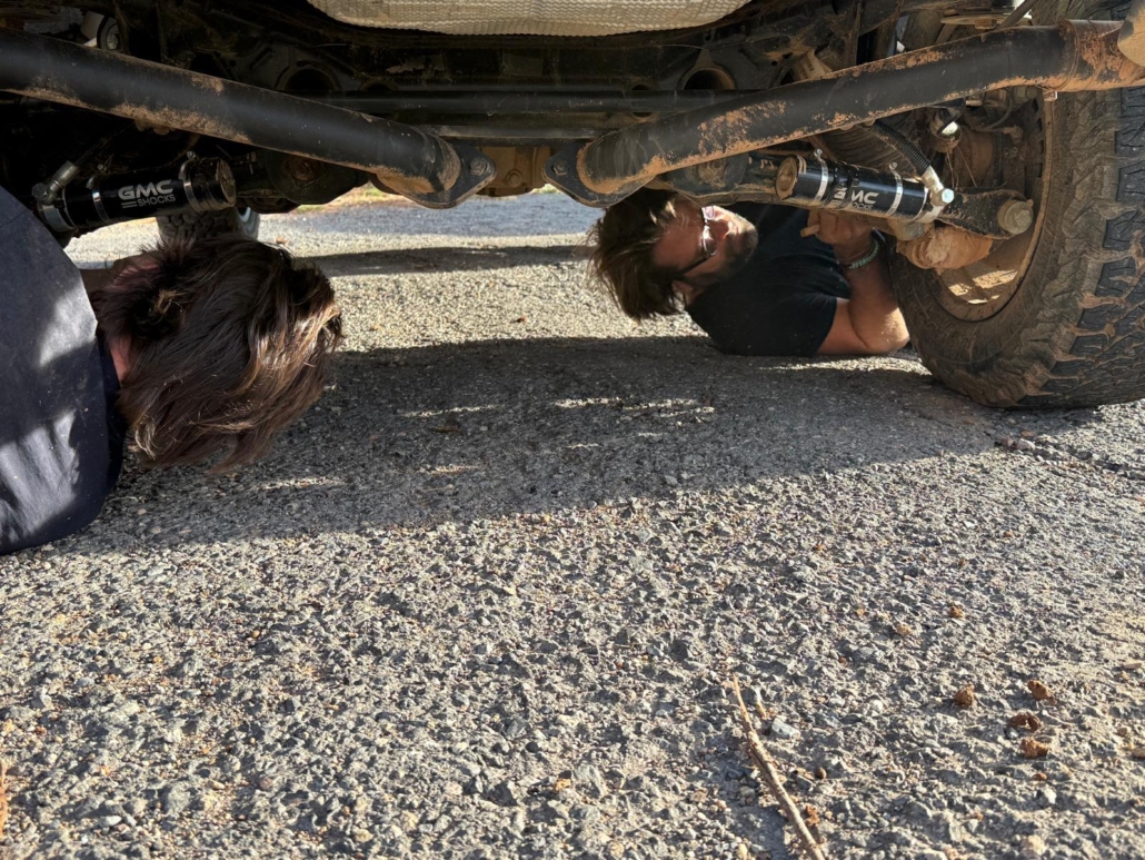 PHOTO-2025-11-09-17-12-21