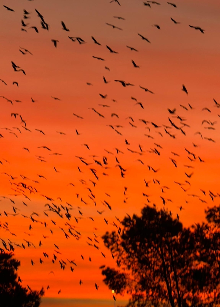 PHOTO-2025-11-09-19-59-26 2