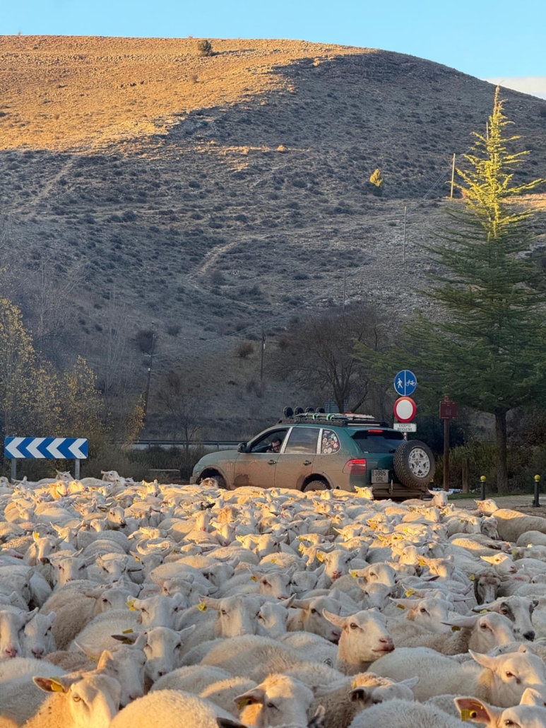 PHOTO-2025-11-09-21-44-39